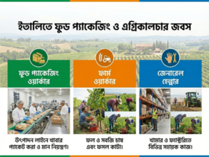 Europe work permit visa 2026 Italy